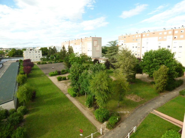photo8