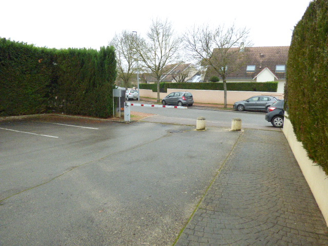 photo3