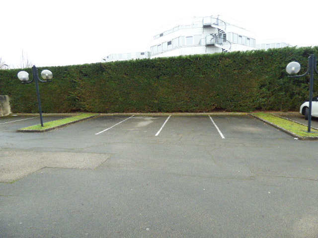 photo2