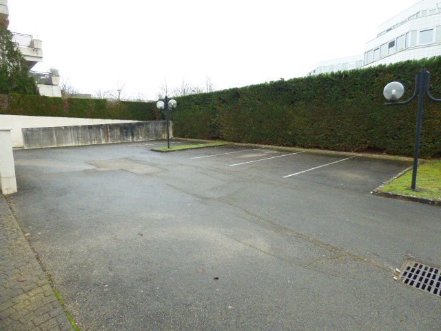 photo1