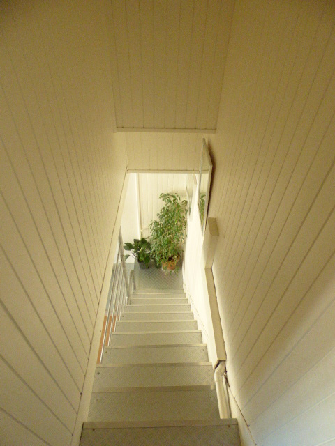 photo7