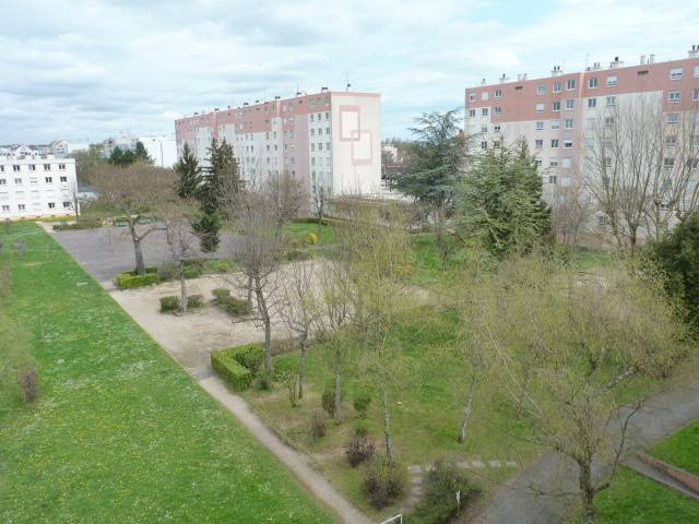 photo1